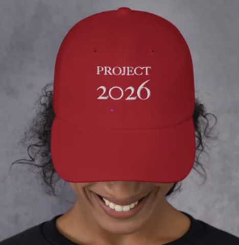 Read more about the article Hats, T-Shirts, Coffee Mugs: Voteblueordie.org